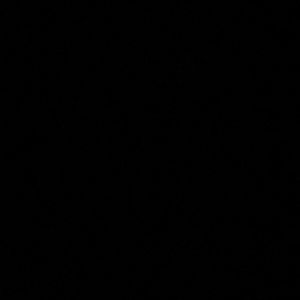 Meet your Posher, Kaitlin